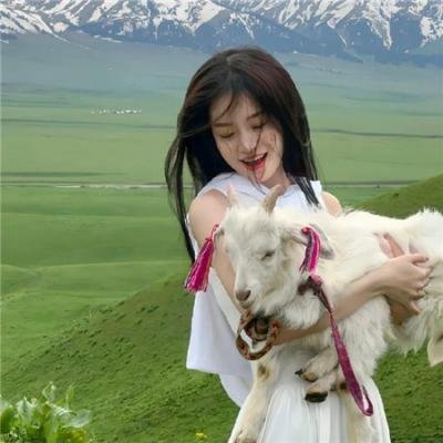 代妹和亲后驸马急疯了